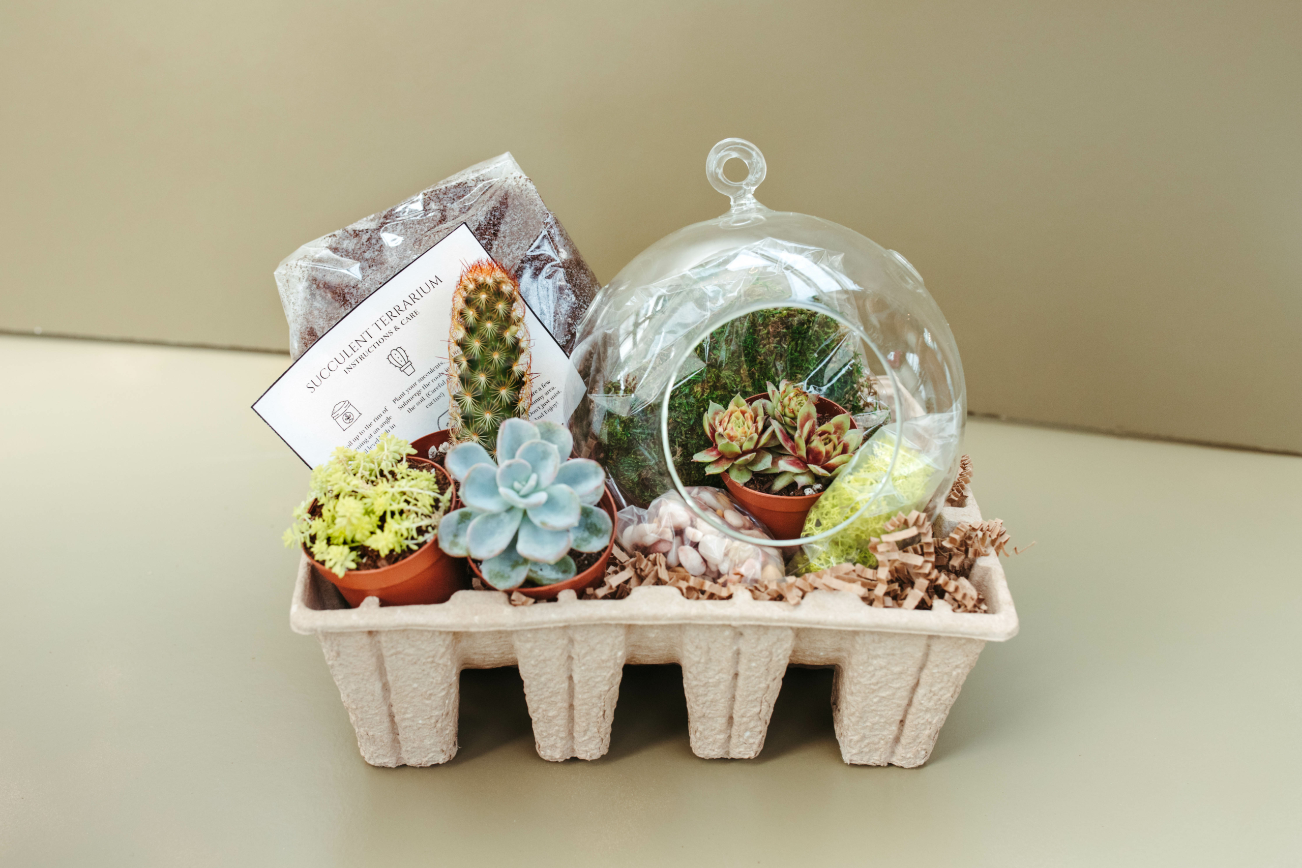 DIY Complete Terrarium Craft Kit, DIY Craft Kit, Gifts