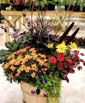 Fall Planter Workshop