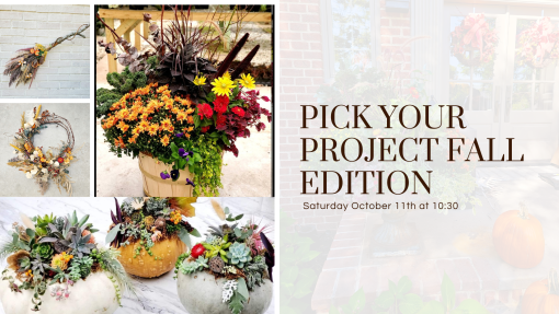 Fall Pick-Your-Project Workshop
