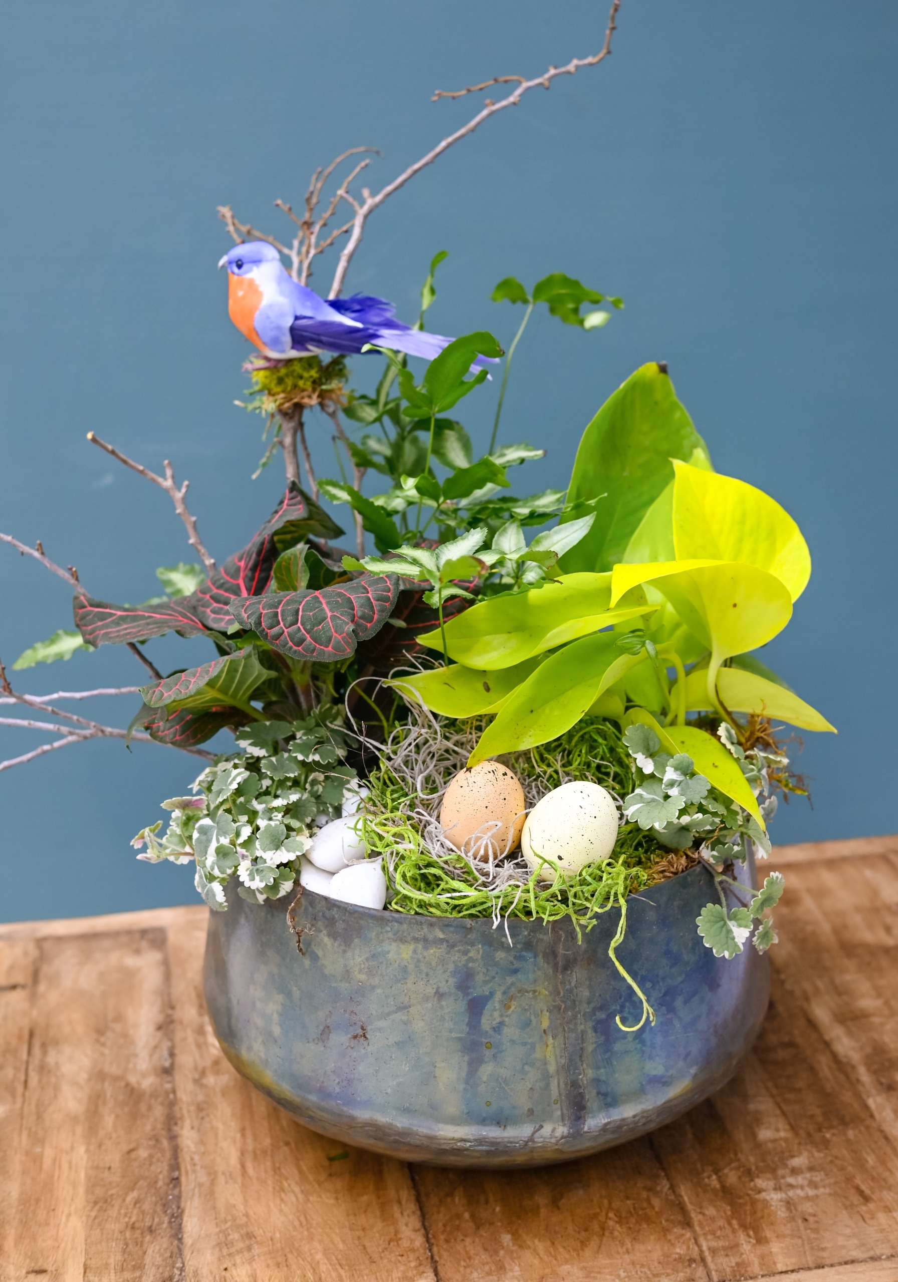 A variety of houseplant pre-planted into a spring themed arrangement.