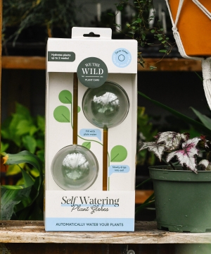 We the Wild- Plant Globes