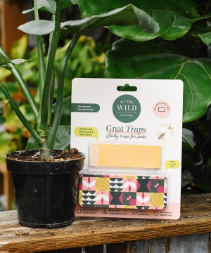 We the Wild- Gnat Traps