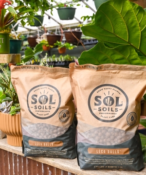 Sol Soils - LECA Balls