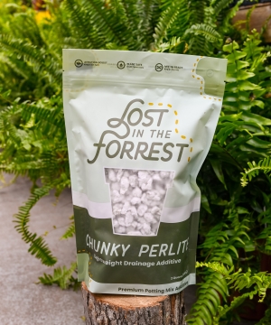 Lost in the Forrest - Chunky Perlite