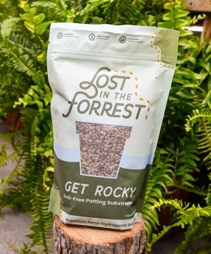 Lost in the Forrest - Get Rocky