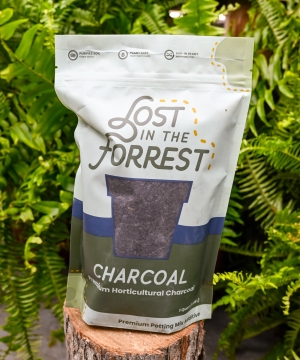 Lost in the Forrest - Charcoal