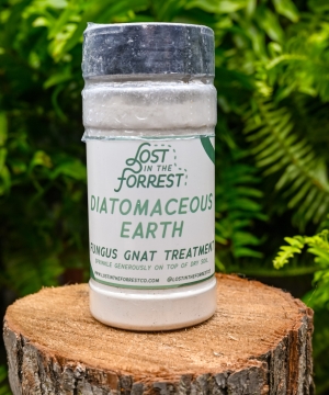Lost in the Forrest - Diatomaceous Earth